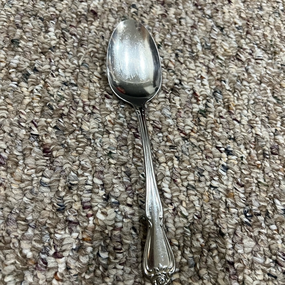 Vintage 1881 Rogers stainless Arbor Rose True Rose Serving Spoon 8.25”